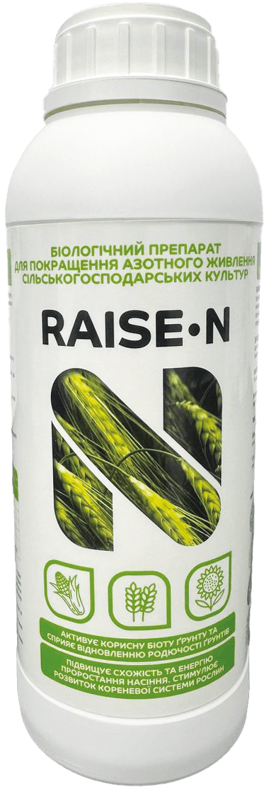 RAISE-N