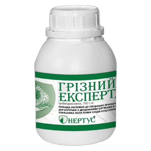 Грізний Експерт