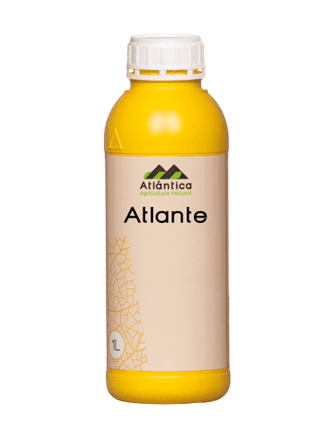 АТЛАНТЕ 1л