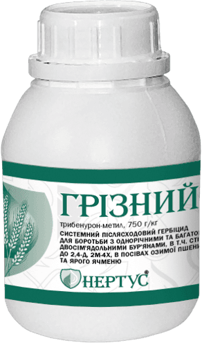 Грізний