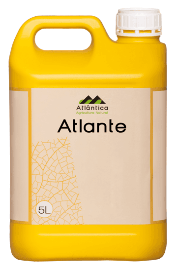 АТЛАНТЕ 5л